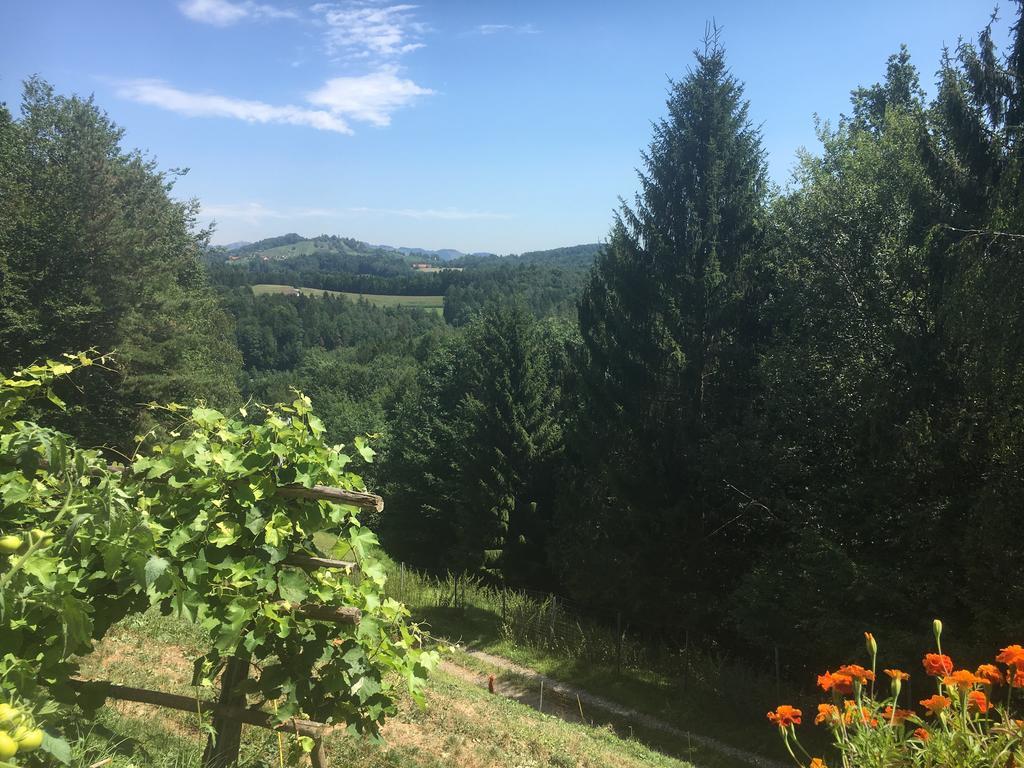 Homestay Gaestehaus Schmid Sankt Johann im Saggautal