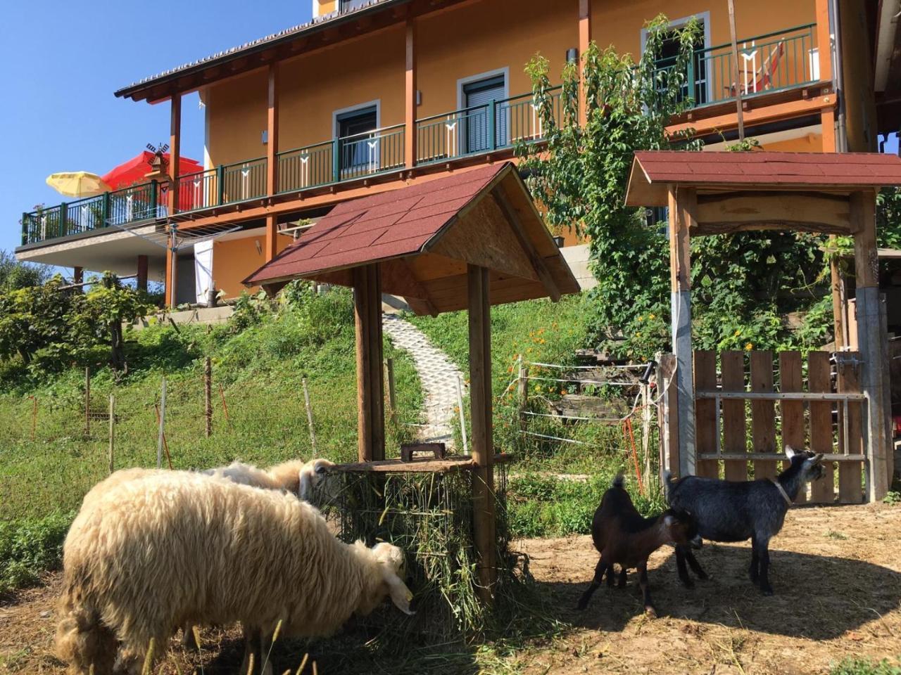 Homestay Gaestehaus Schmid *